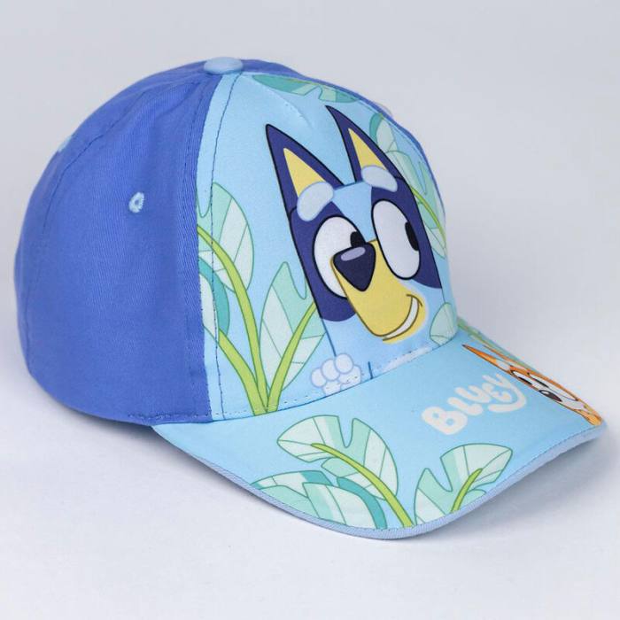 Bluey assorted cap 4462